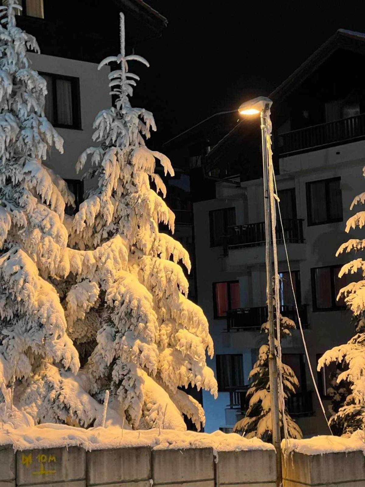 Arboro Borovets Gardens E68 Lägenhet Exteriör bild