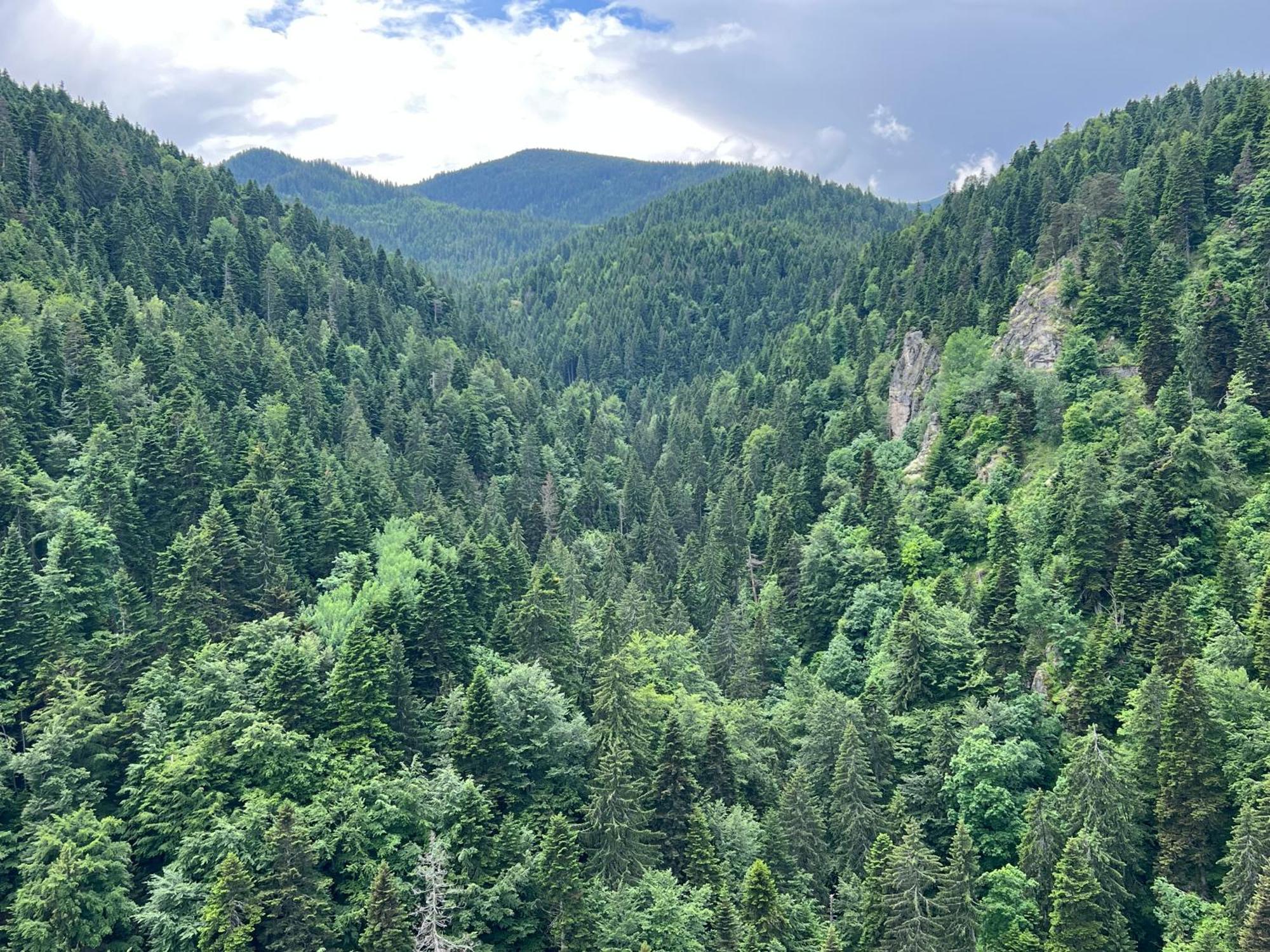 Arboro Borovets Gardens E68 Lägenhet Exteriör bild
