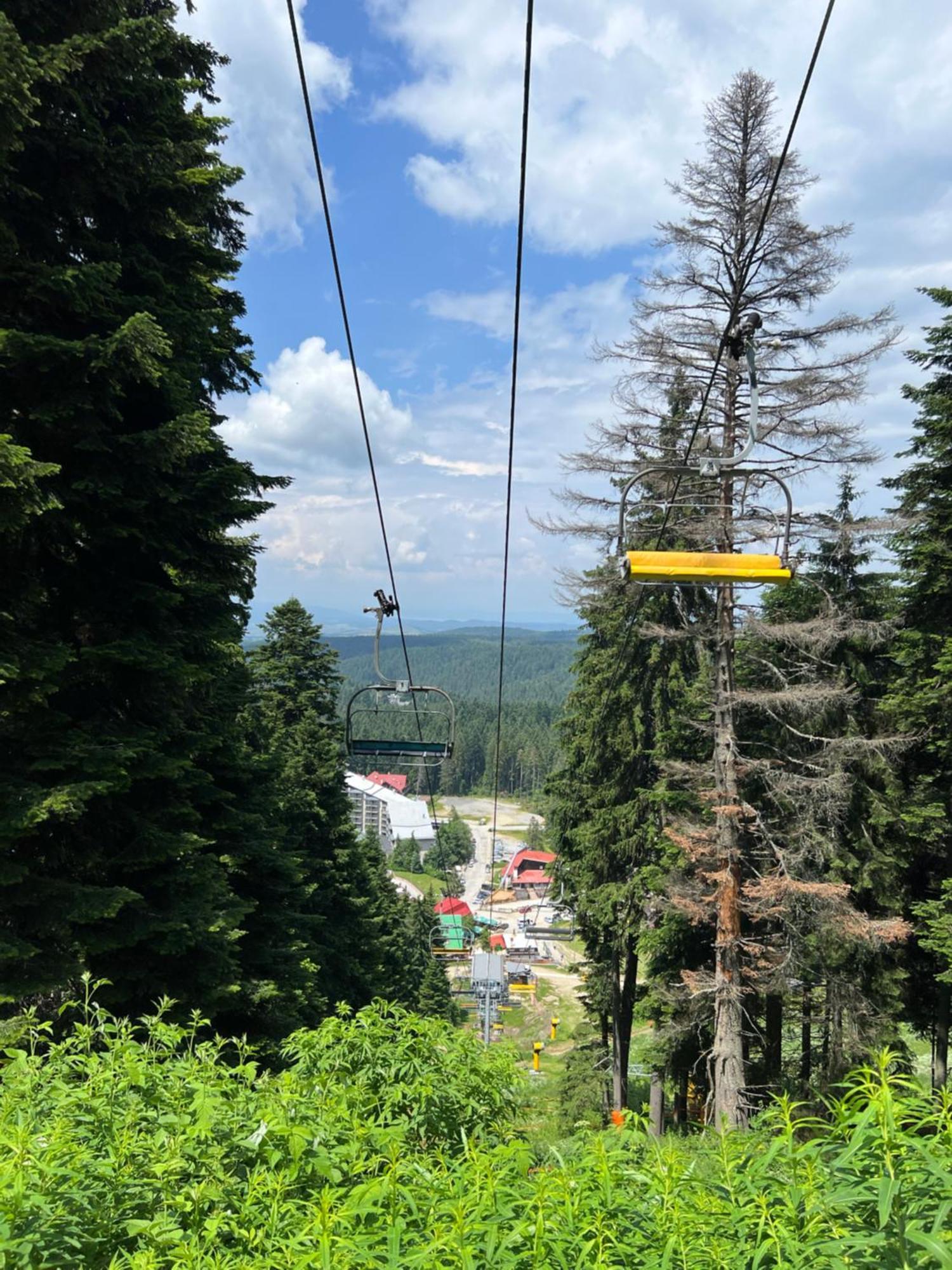 Arboro Borovets Gardens E68 Lägenhet Exteriör bild